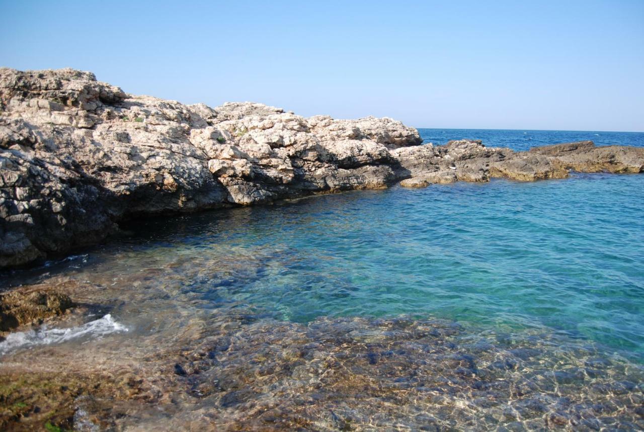 Eagle'S Nest Villa Polignano a Mare Eksteriør billede