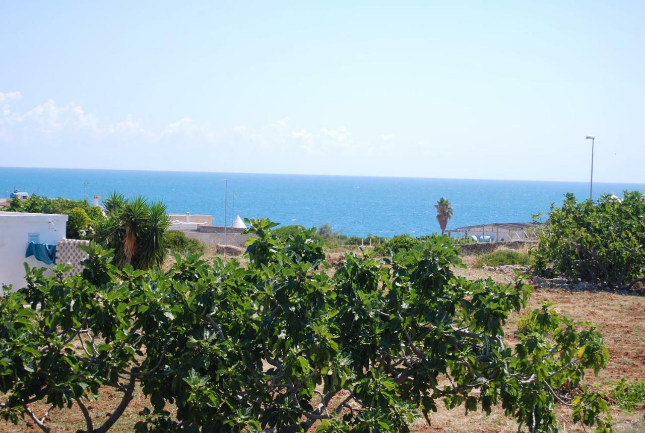 Eagle'S Nest Villa Polignano a Mare Eksteriør billede